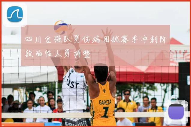 四川金强队员伤病困扰赛季冲刺阶段面临人员调整