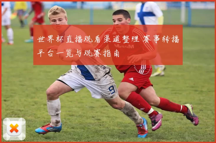 世界杯直播观看渠道整理 赛事转播平台一览与观赛指南