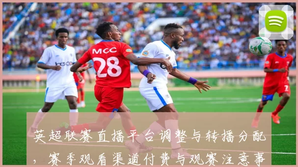 英超联赛直播平台调整与转播分配，赛季观看渠道付费与观赛注意事项
