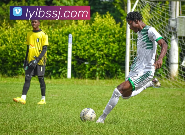 App Interface Preview