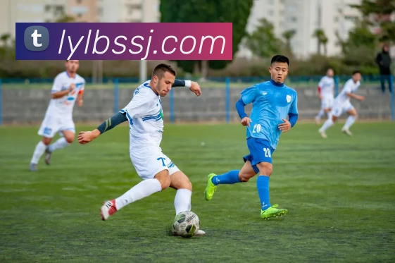 星空体育(中国)官方网站APP 封面图